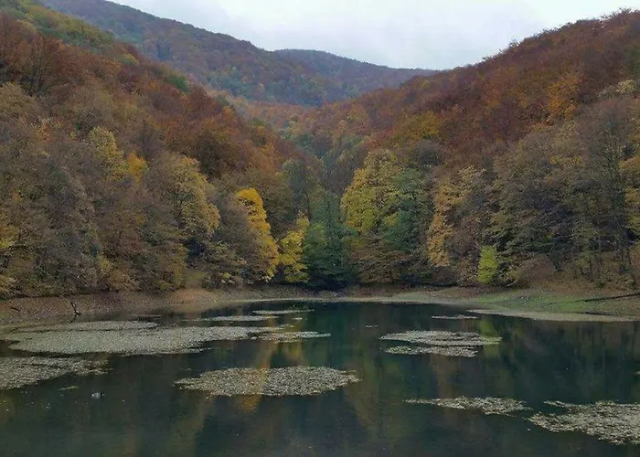别墅 Paloc Manor Vendeghaz Romantic Heritage On The Creek